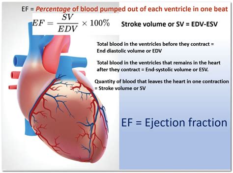 Left Ventricular Ejection Fraction 